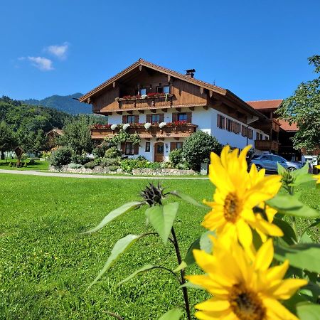 Appartement Hoderhof à Grassau  Extérieur photo