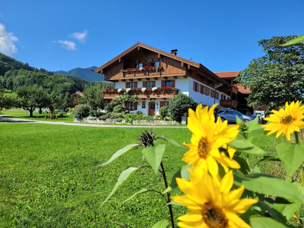 Appartement Hoderhof à Grassau  Extérieur photo